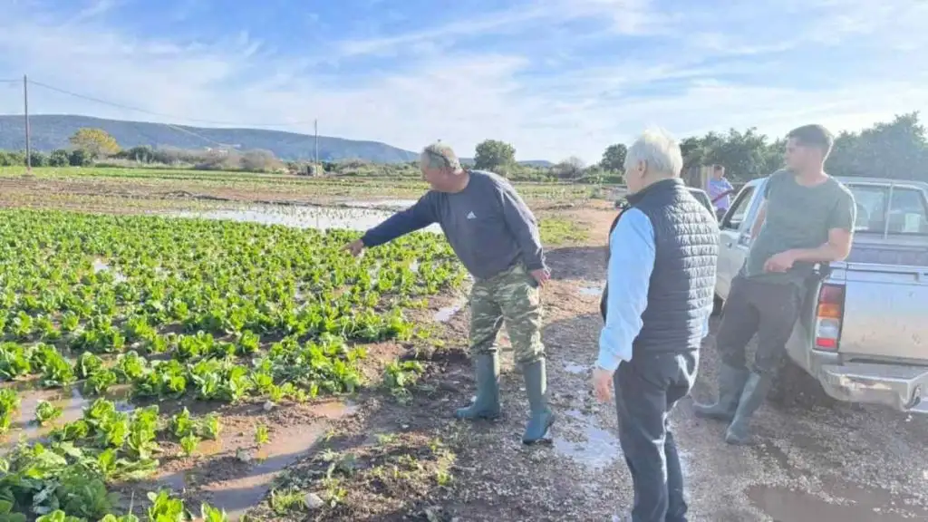 andrianos iria karnazeika