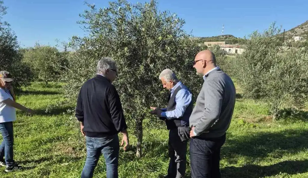 Κλιμάκιο του ΕΛΓΑ στην Ερμιονίδα για αυτοψία