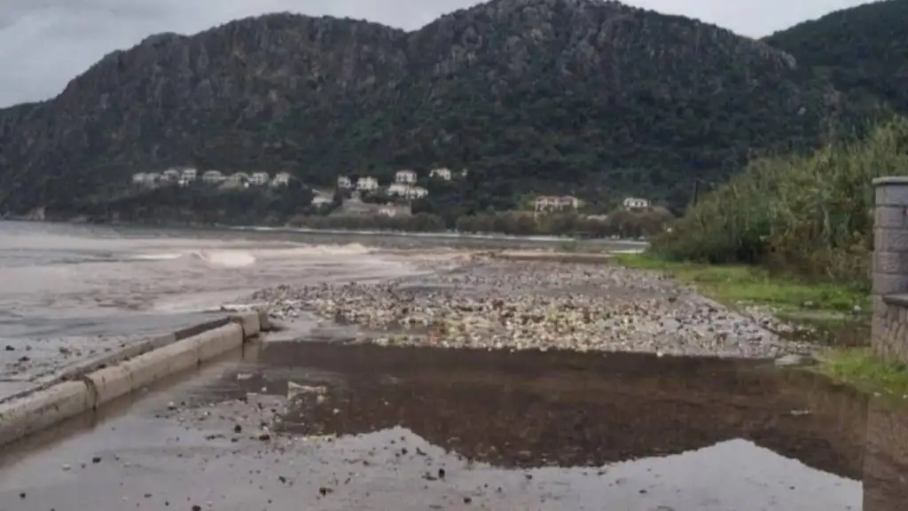 Δήμος Επιδαύρου πλημμύρες κακοκαιρία