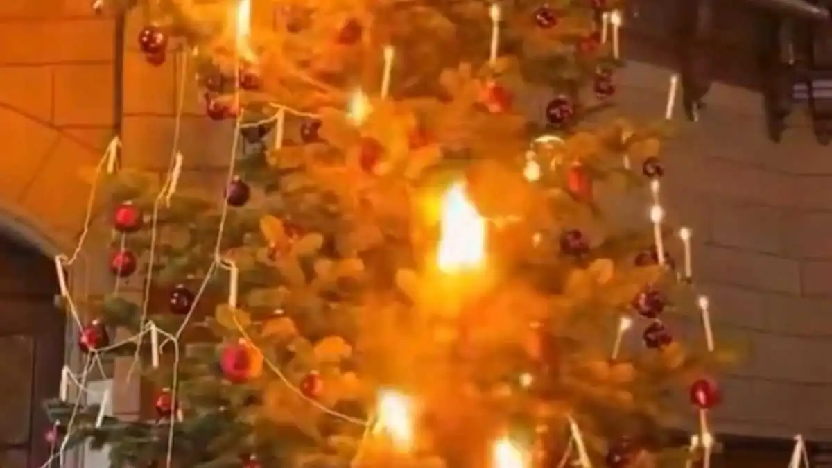 Στην καρδιά των Άλπεων το χριστουγεννιάτικο δέντρο ανάβει όπως πριν από 500 χρόνια