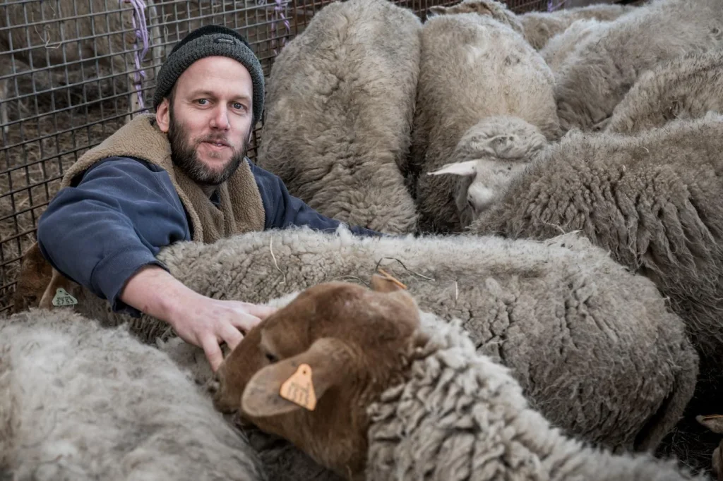 Τα Βραβεία του 11ου Διεθνούς Φεστιβάλ Ντοκιμαντέρ Πελοποννήσου