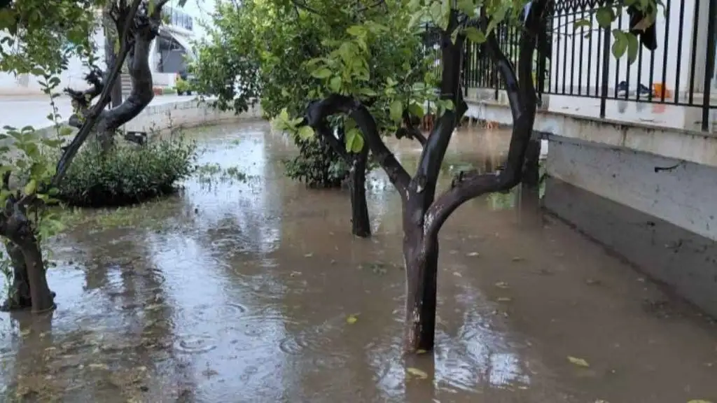 iria plimmira xatzopoulos