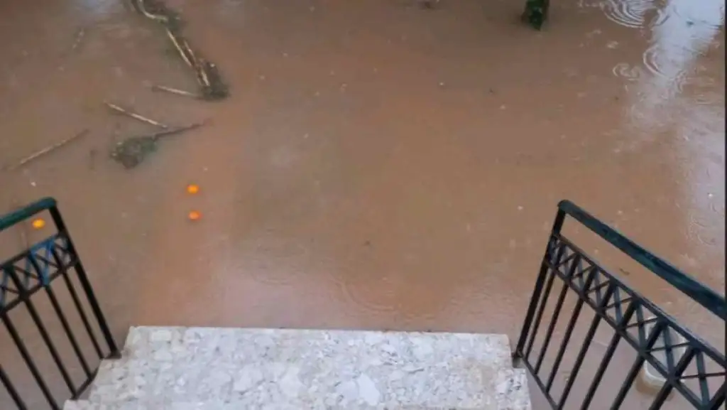 iria xatzopoulos giannis