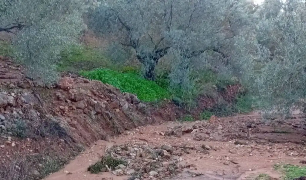 Κακοκαιρία Byron προβλήματα Δήμος Επιδαύρου