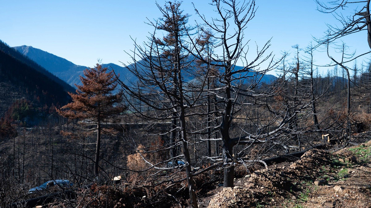 Σιάτος: Προσβλητικές εικόνες στα καμένα της Κορινθίας