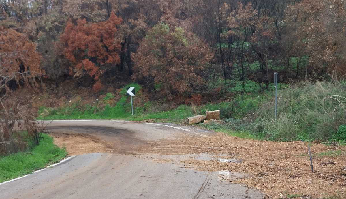 Κρυονέρι Τριφυλίας: Κανένα αντιπλημμυρικό μετά τη μεγάλη φωτιά