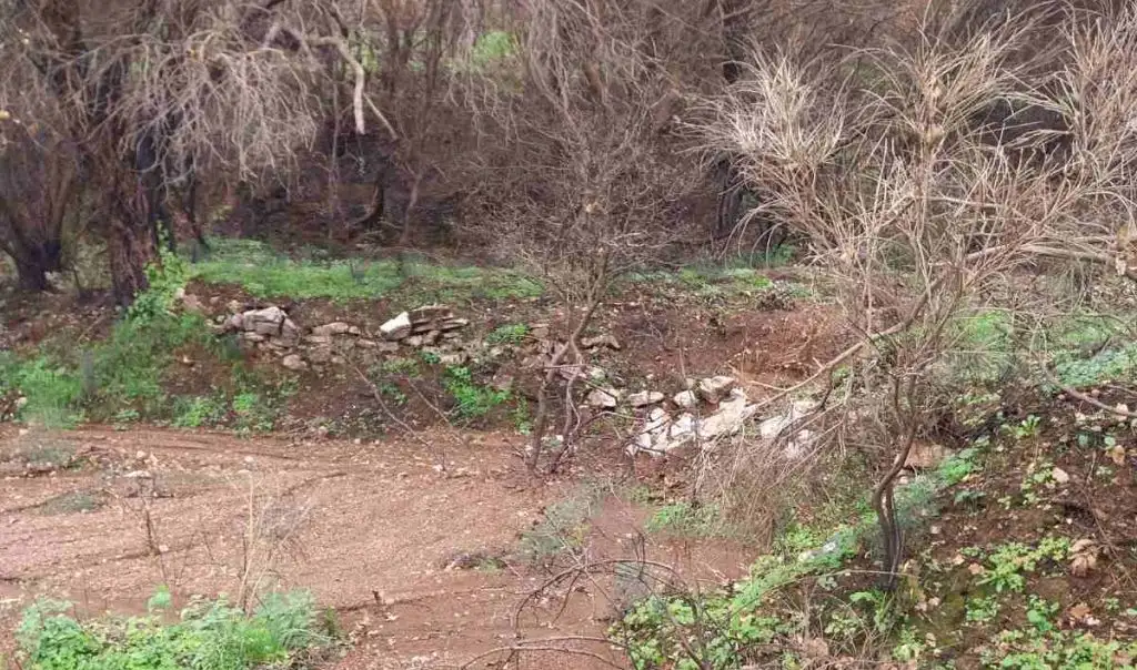 Κρυονέρι Τριφυλίας