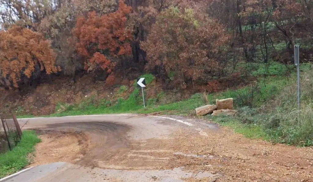 Κρυονέρι Τριφυλίας
