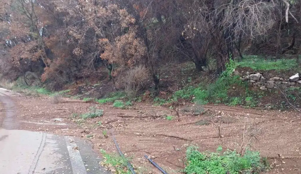 Κρυονέρι Τριφυλίας