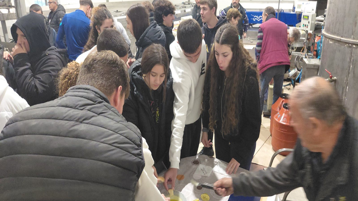 Μαθητές γνώρισαν από κοντά την παραγωγή ελαιόλαδου στην Αργολίδα