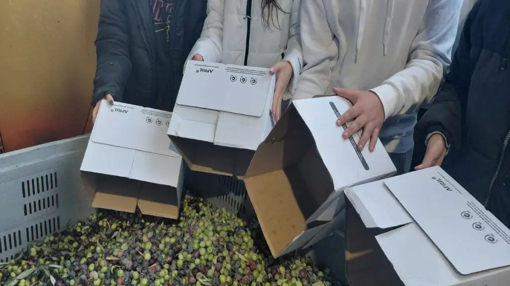 Εκπαιδευτική επίσκεψη του 1ου ΓΕΛ Άργους σε Ελαιοτριβείο