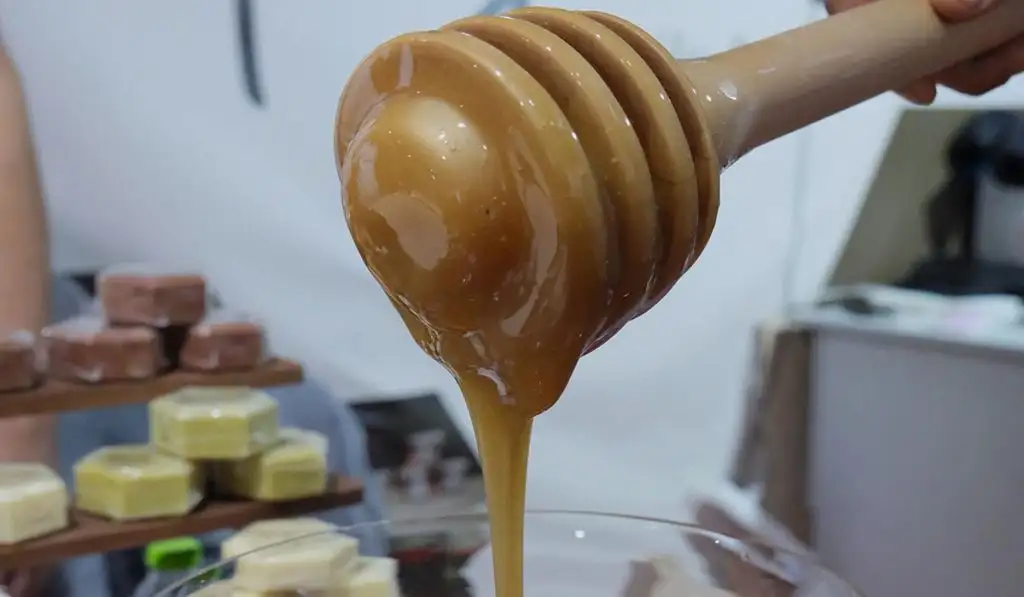 16ο Φεστιβάλ Ελληνικού Μελιού και Προϊόντων Μέλισσας