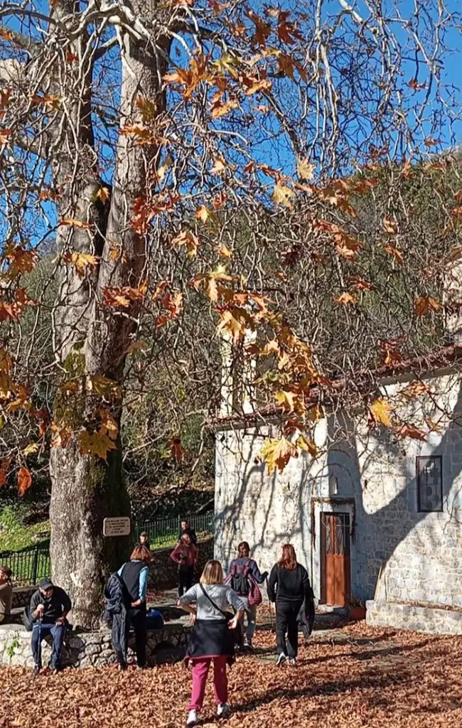 Πολιανή – Άνω Αρφαρά, μια βιωματική εμπειρία στον Ταΰγετο