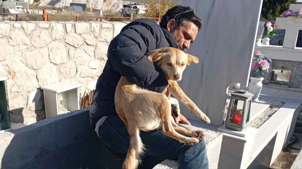 Άργος. Συγκλονιστική διάσωση σκύλου μέσα από τάφο: «Το πέταξαν εκεί, δεν μπορούσε να μπει μόνο του»