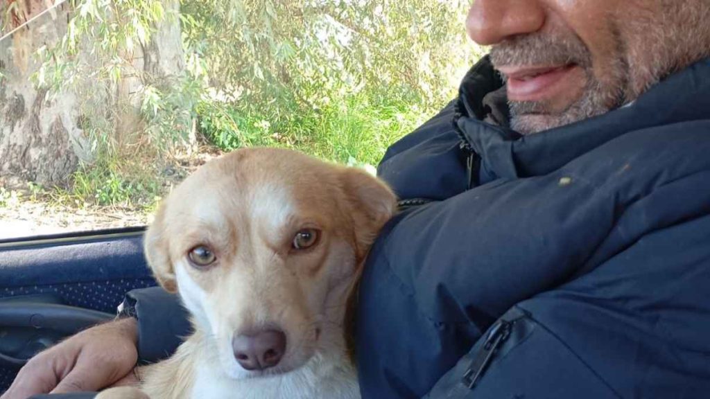 Στέλιος Κυριακού με το σκύλο