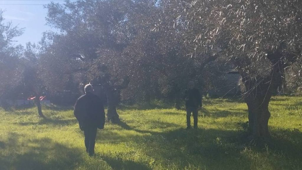 ΕΛΓΑ Σπάρτη