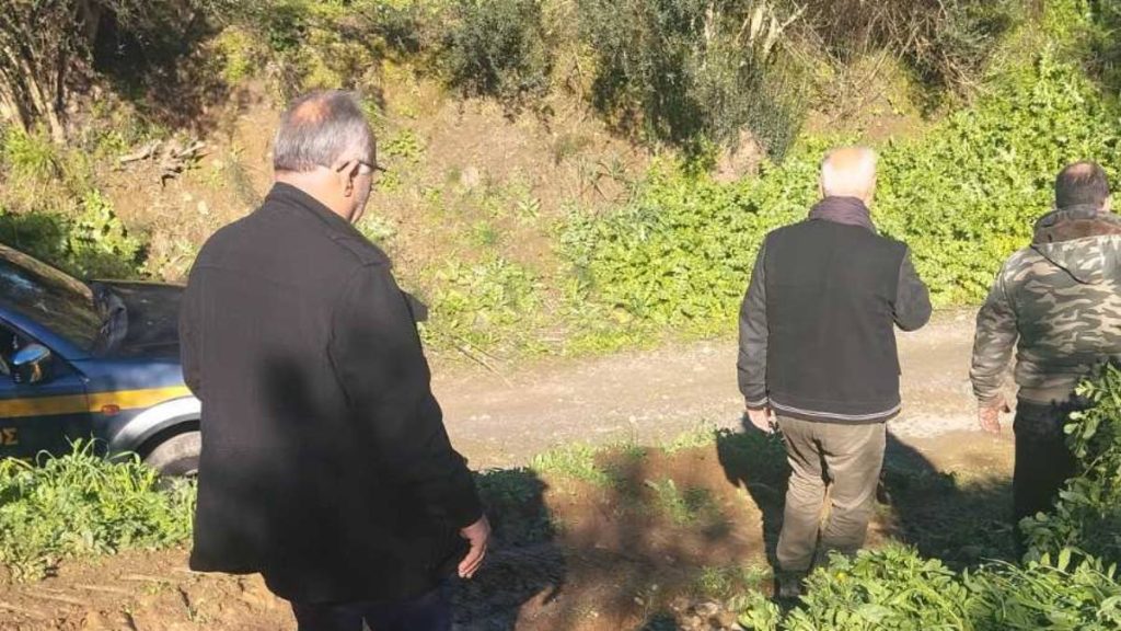 ΕΛΓΑ Σπάρτη