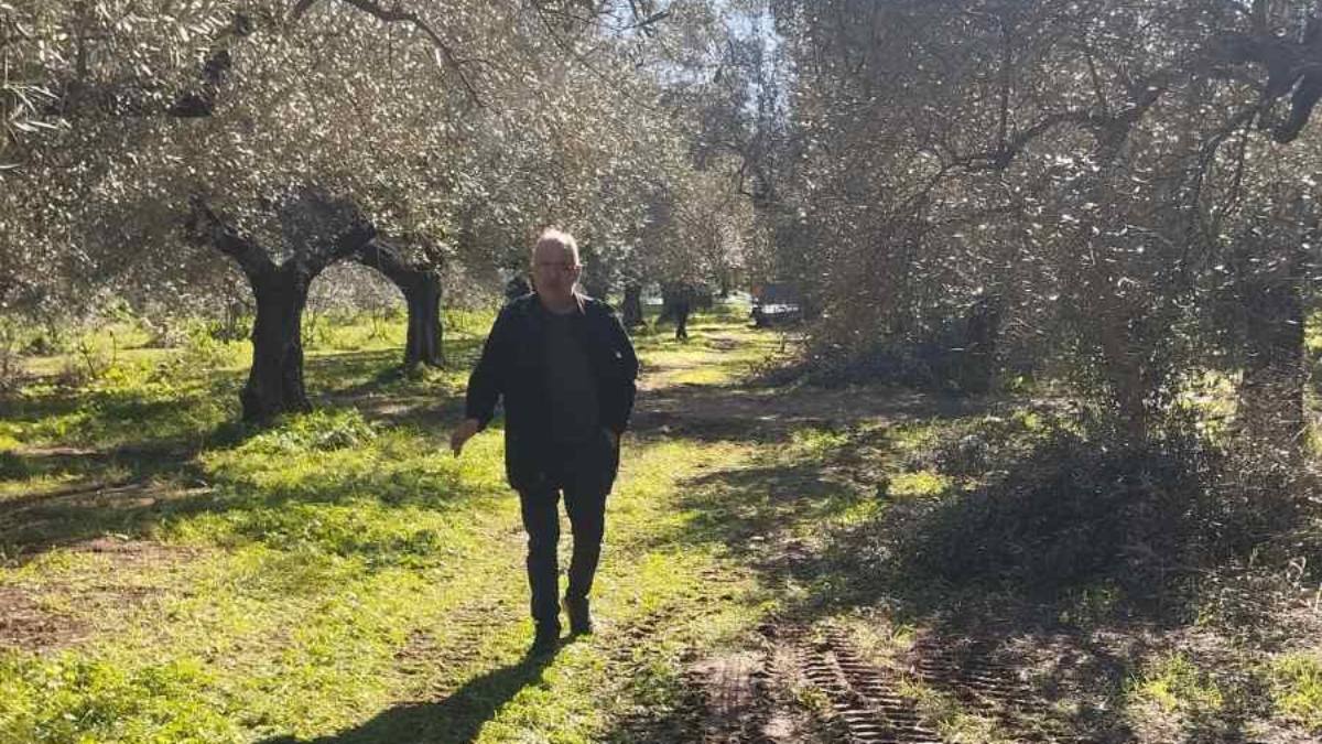 Ζημιές από ανεμοθύελλα στον Δήμο Σπάρτης: Ολοκληρώθηκε ο έλεγχος του ΕΛΓΑ