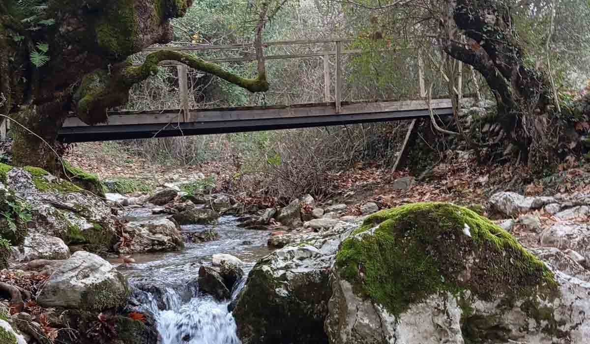 Μεσσηνία: Συνεχής αγώνας για να ζωντανέψουν τα Κοντοβούνια