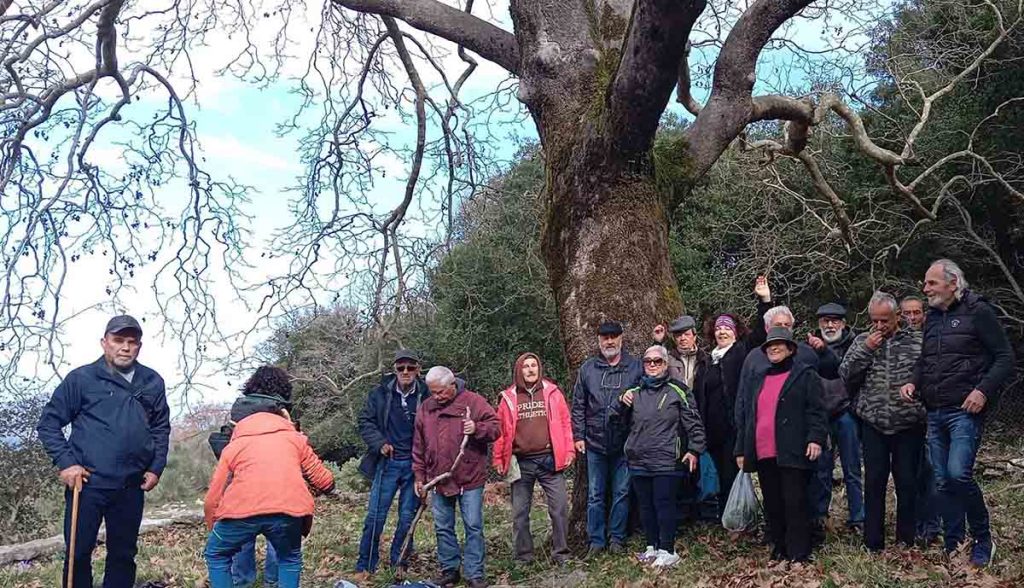 Κοντοβούνια Μεσσηνίας