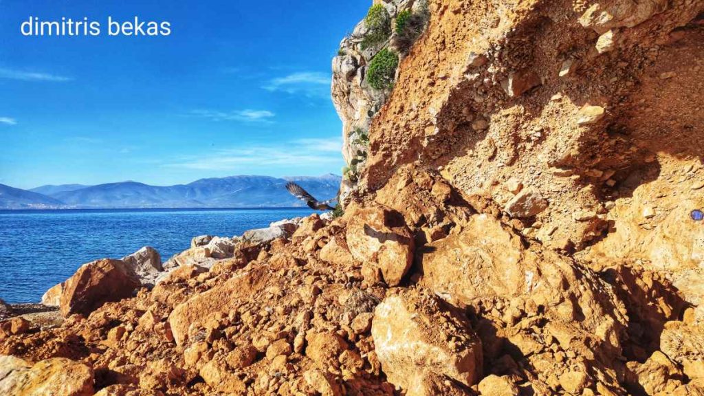 monopati arvanitia karathona2