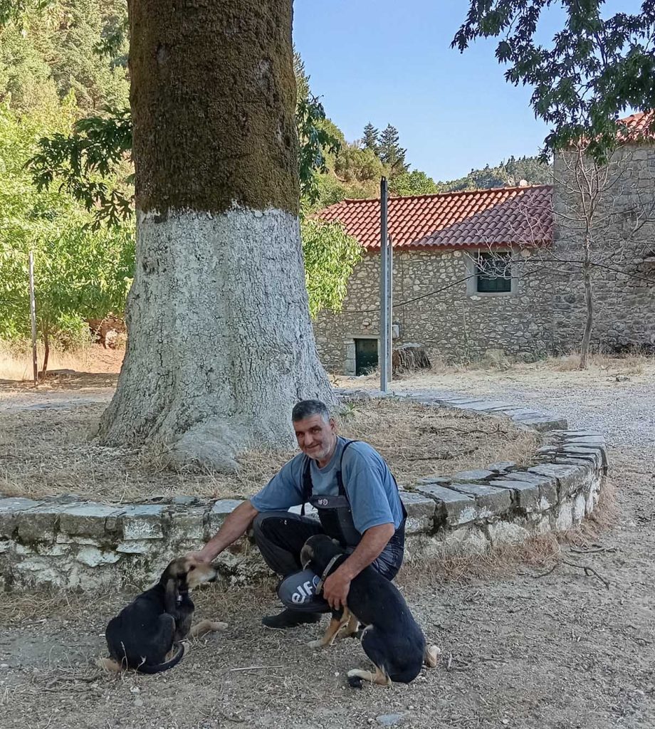 Πηγάδια Ταϋγέτου