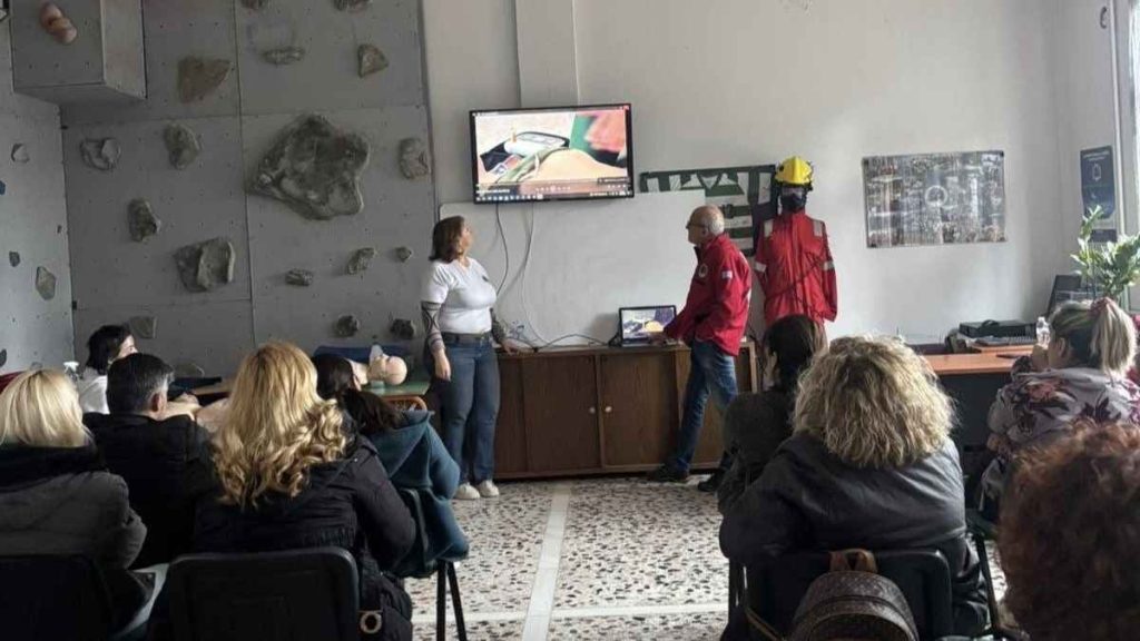 protes voithies amea