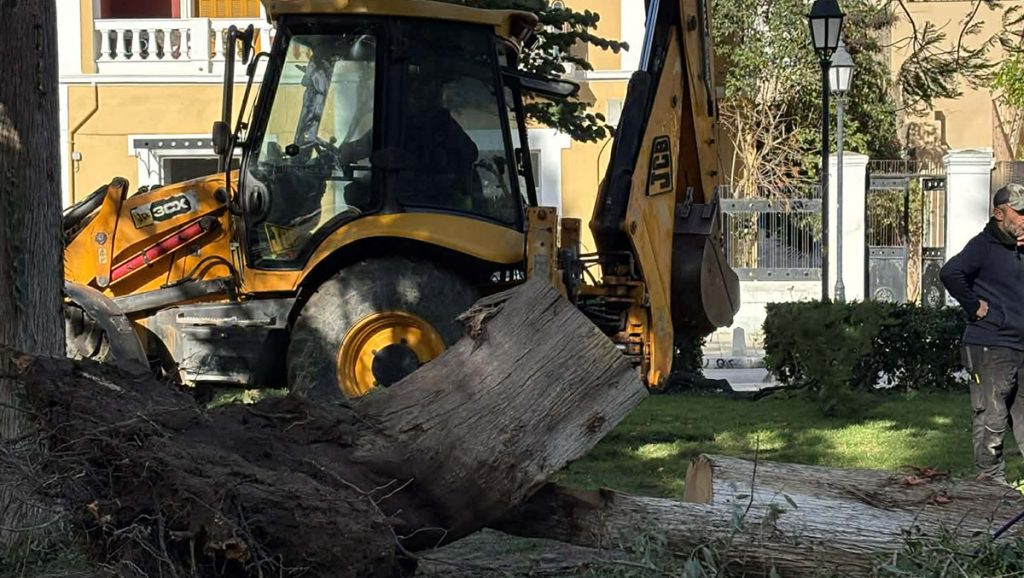 Πτώση δέντρου στο Ναύπλιο