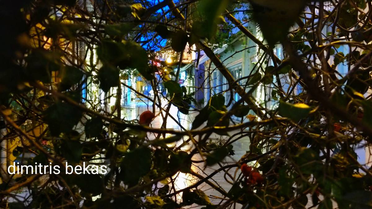 Ναύπλιο: Η περιπέτεια ενός ενοικιαστή σε μια πόλη που «καίει»