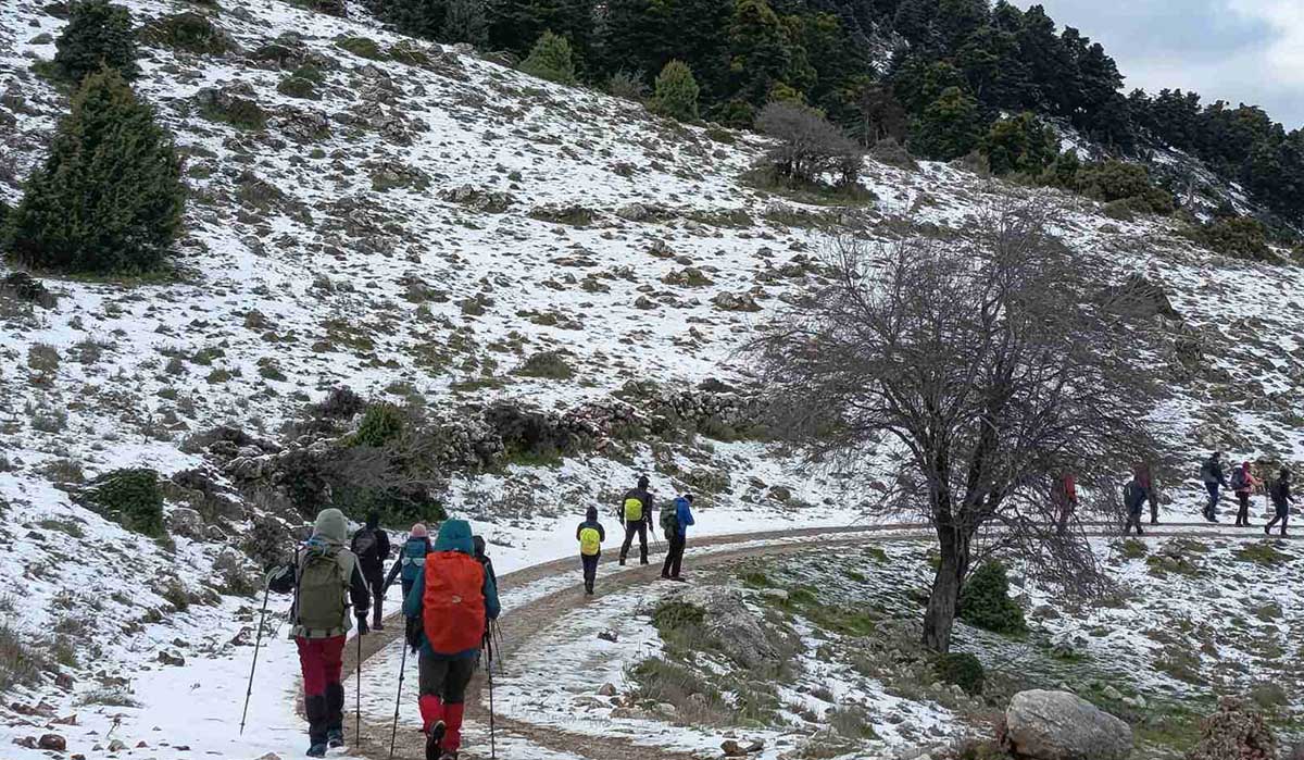 Μαγικές εικόνες στο Αρτεμίσιο: Λευκό τοπίο και πεζοπόροι στα χιόνια