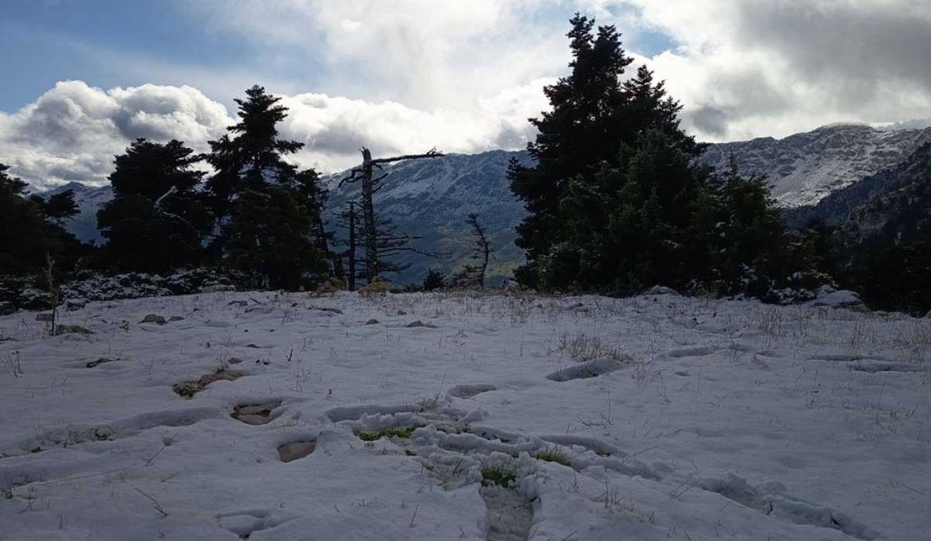 Χιόνια στο Όρος Αρτεμίσιο Καρυά Αργολίδας