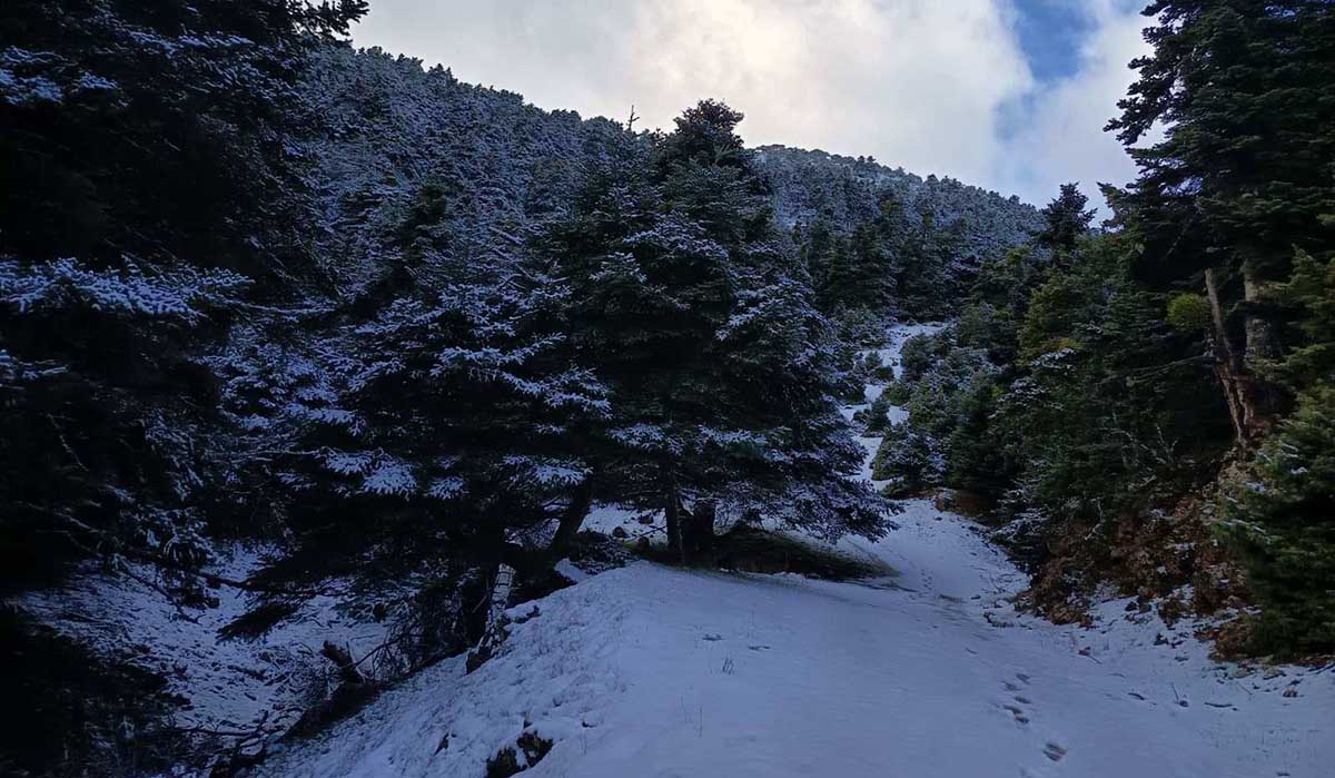 Έρχεται αισθητό κρύο: Πτώση θερμοκρασίας έως 10°C και ασθενείς, επιλεκτικές χιονοπτώσεις
