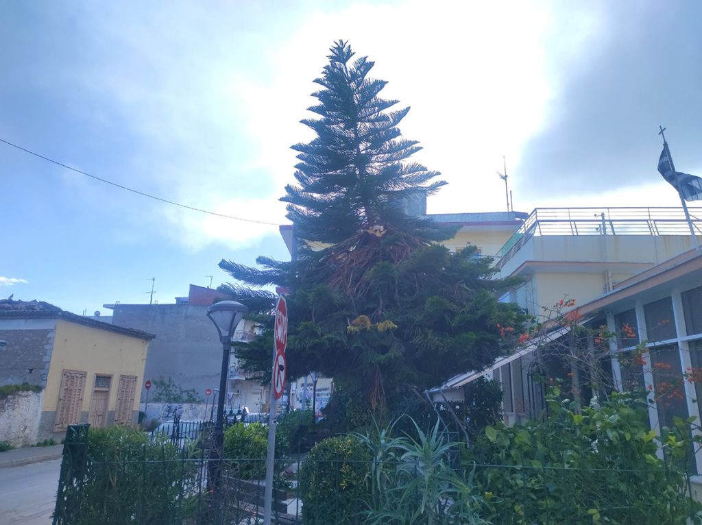 Ζημιές από τον αέρα στο Άργος