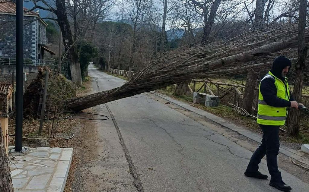 Πεσμένα δέντρα ζημιές Δήμος Γορτυνίας