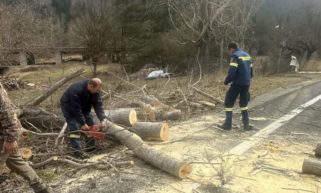 Πεσμένα δέντρα ζημιές Δήμος Γορτυνίας