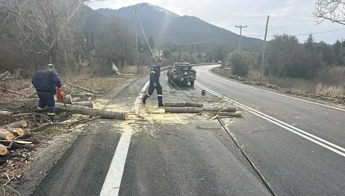 Γορτυνία: Η κακοκαιρία «σαρώνει» με πτώσεις δέντρων
