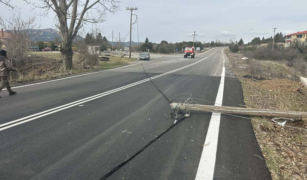 Πεσμένα δέντρα ζημιές Δήμος Γορτυνίας