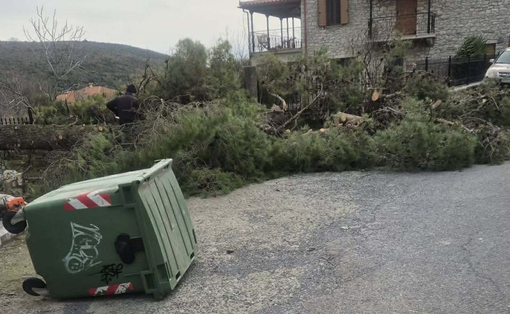 Πεσμένα δέντρα ζημιές Δήμος Γορτυνίας