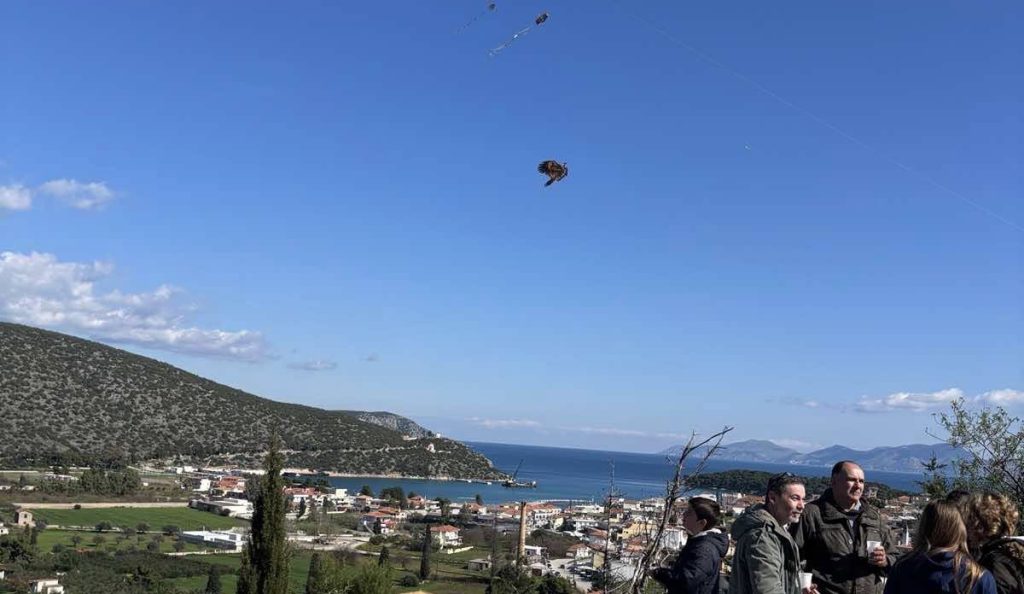Κούυλουμα στην Ερμιονίδα