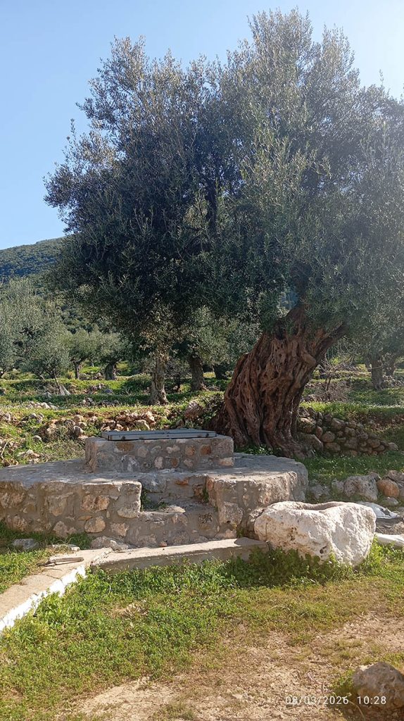 Άγριλος Καλαμάτας