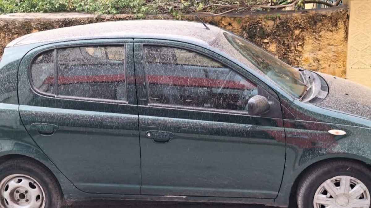 Ναύπλιο: Εικόνες από την κίτρινη λασποβροχή που «σκέπασε» την πόλη