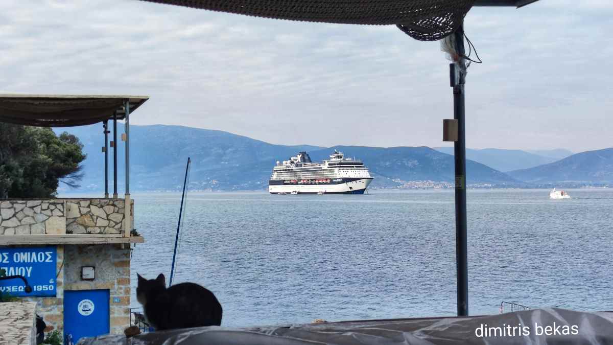 Celebrity Infinity: Μεγάλο «σωσίβιο» για τ’ Ανάπλι