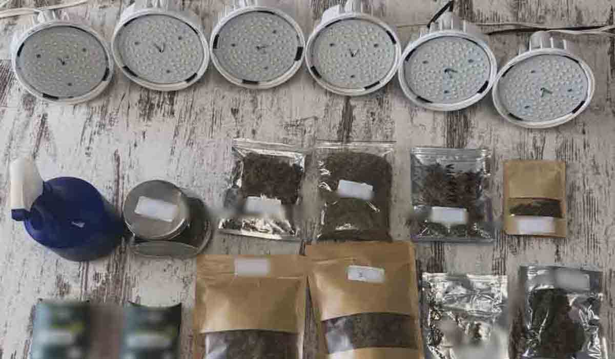 Από την κλοπή μοτοσικλέτας στο Κιάτο, στην υδροπονική κάνναβη