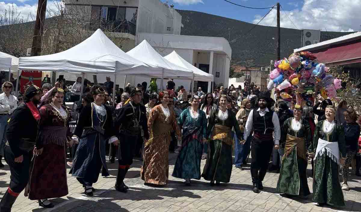 Η σπάνια τουλίπα που έστησε χορό στα Δίδυμα Ερμιονίδας