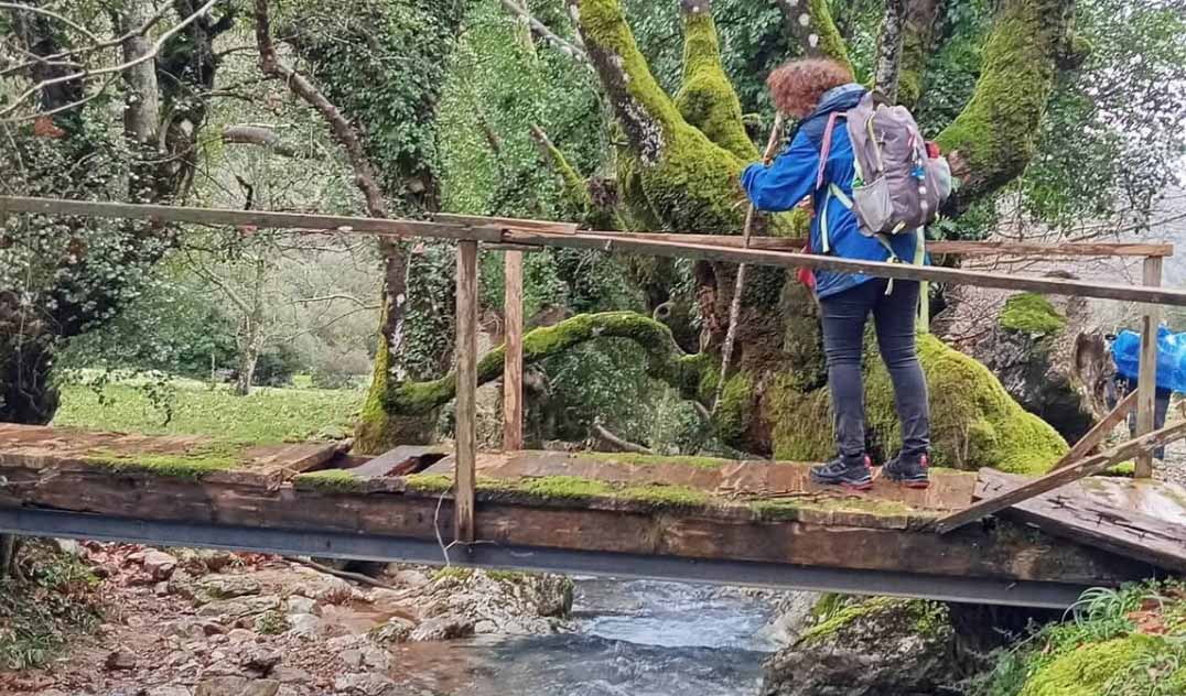 Κοντοβούνια Μεσσηνίας: Ένας τόπος που ξανασυστήνεται