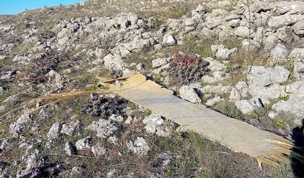 Κούκουρα Ζάβιτσα