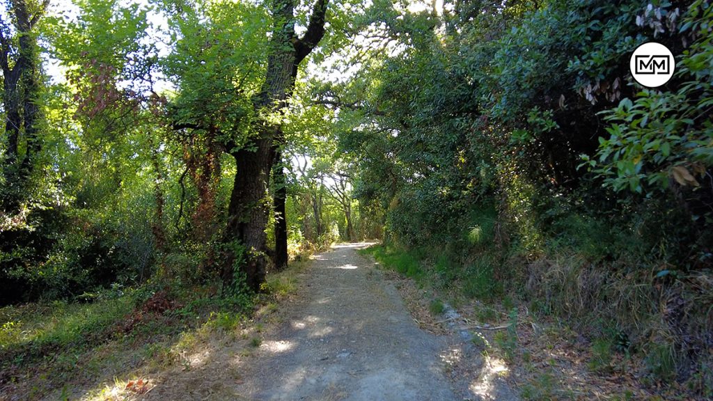 Λουτρά Κυλλήνης-Λίτζι