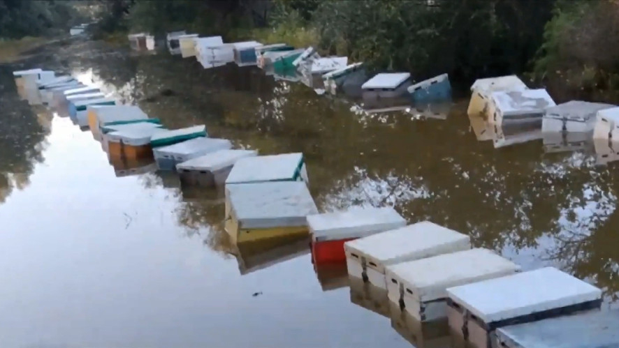 Μεσσηνία: Η Νέδα «έπνιξε» πάνω από 200 κυψέλες με μελίσσια