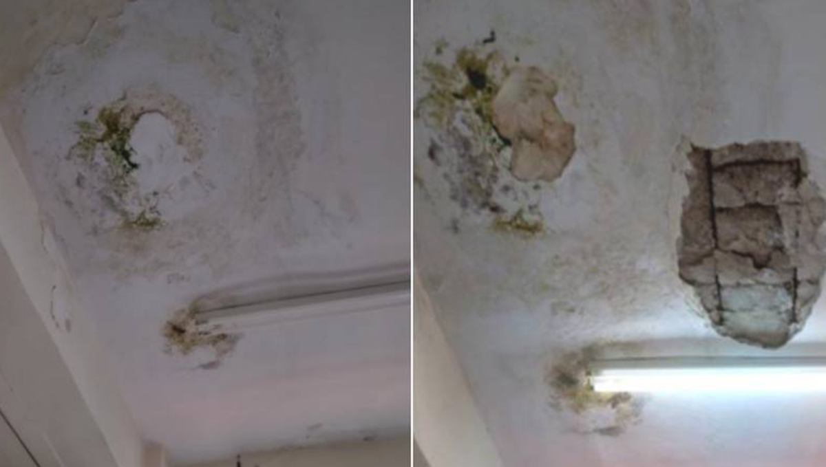 «Βρέχει» σοβάδες στο 1ο και 2ο ΕΠΑΛ Καλαμάτας