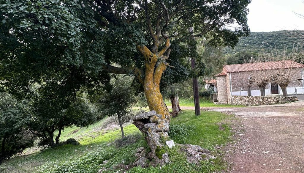 Τρύπες Δήμου Μεσσήνης